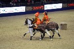 Quadrille - 00065
